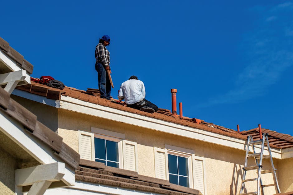 first roofing service preview