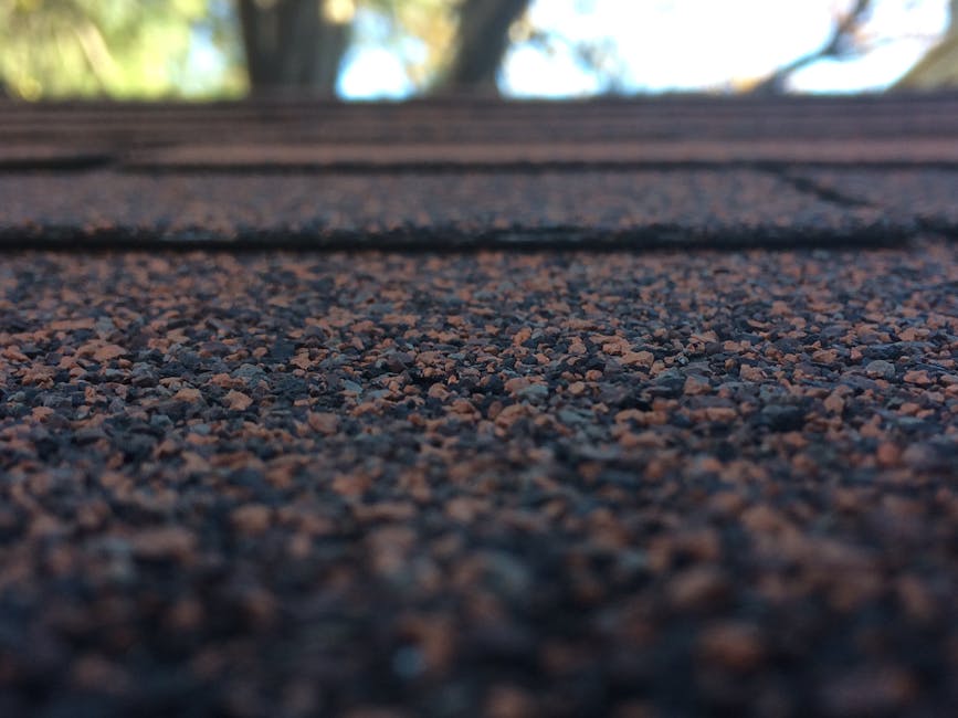 first roofing team and workmanship preview